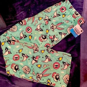 Looney Tunes Teal Sea Green super soft PJ Pants NWT